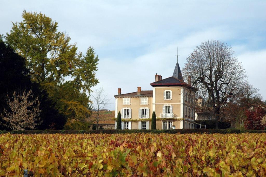 Bed and Breakfast Chateau De La Flechere Blace Екстер'єр фото